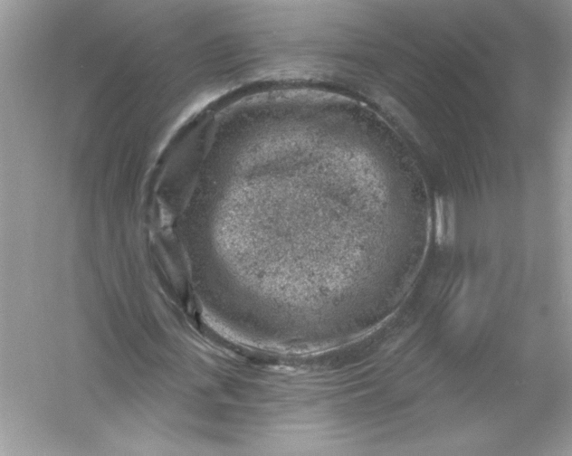 X0000054300723200508042309.png