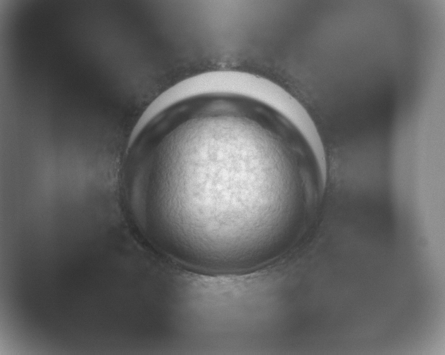 X0000052450030200507211326.png