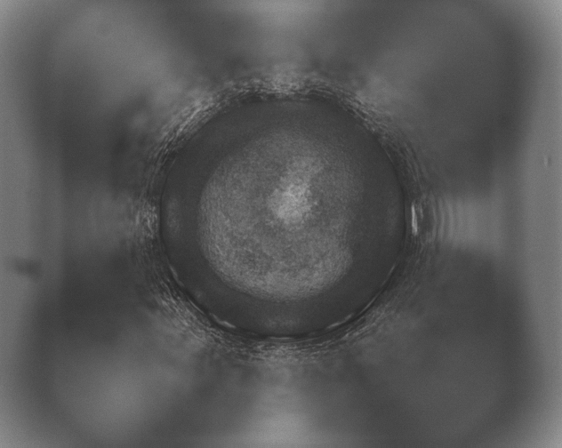 X0000038921155200409290958.png