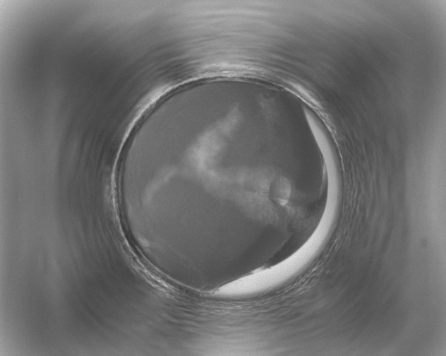 X0000054351283200508190118.png