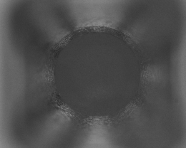 X0000051541014200506281733.png