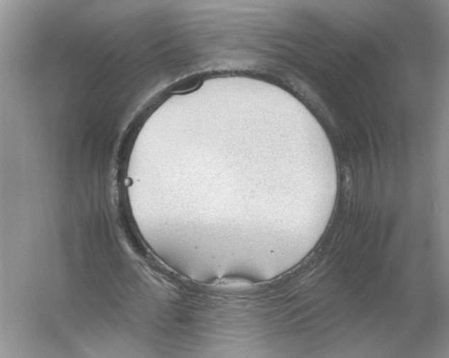 X0000054270676200508261916.png