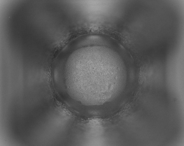X0000052280417200507132034.png