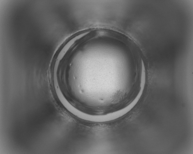 X0000054970891200509051501.png