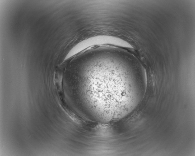 X0000054300280200508042318.png