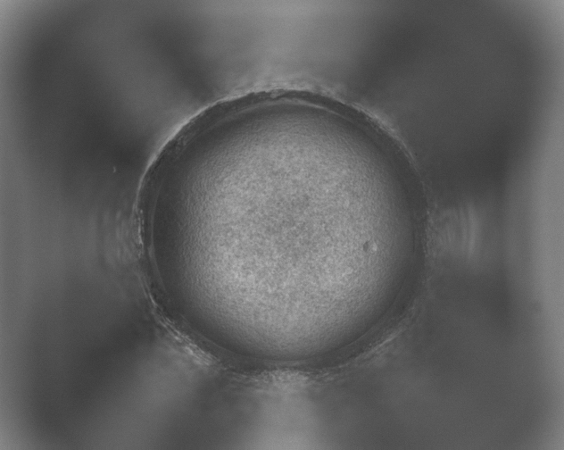 X0000052280878200507132026.png