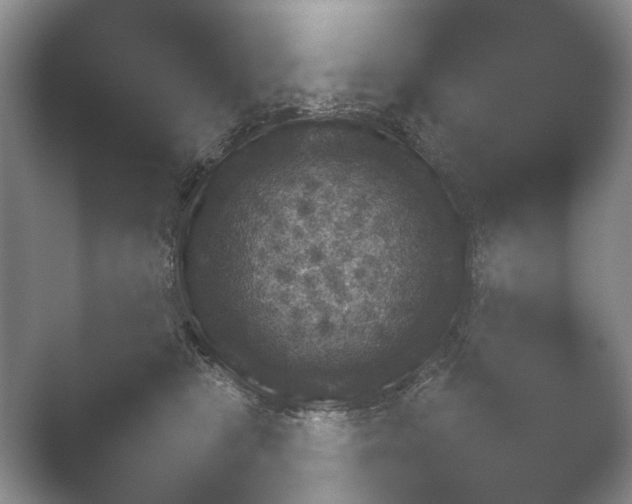 X0000052150469200507051956.png