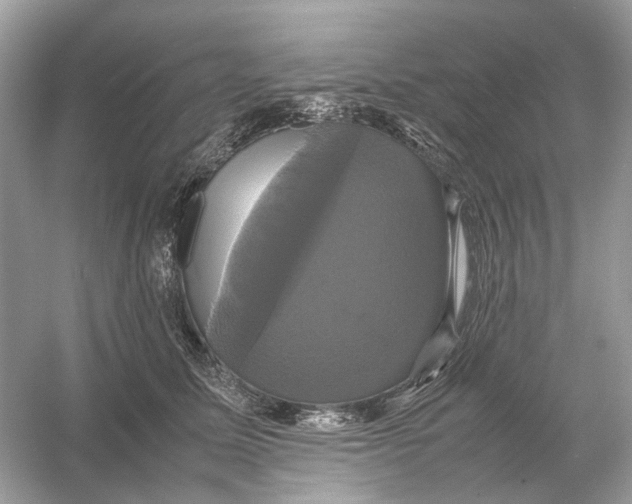 X0000054350611200508190130.png