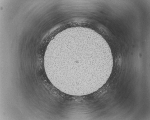 X0000054580822200508300058.png