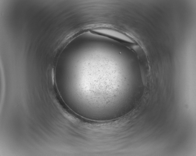 X0000054300013200508042322.png