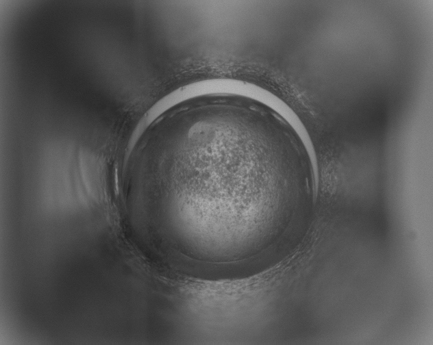 X0000052020027200507181638.png