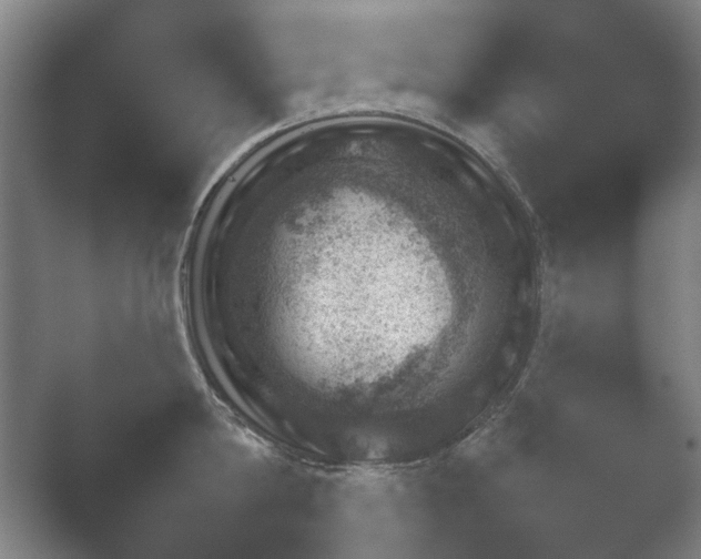 X0000052280814200507132027.png