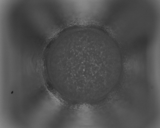 X0000051540683200506281739.png