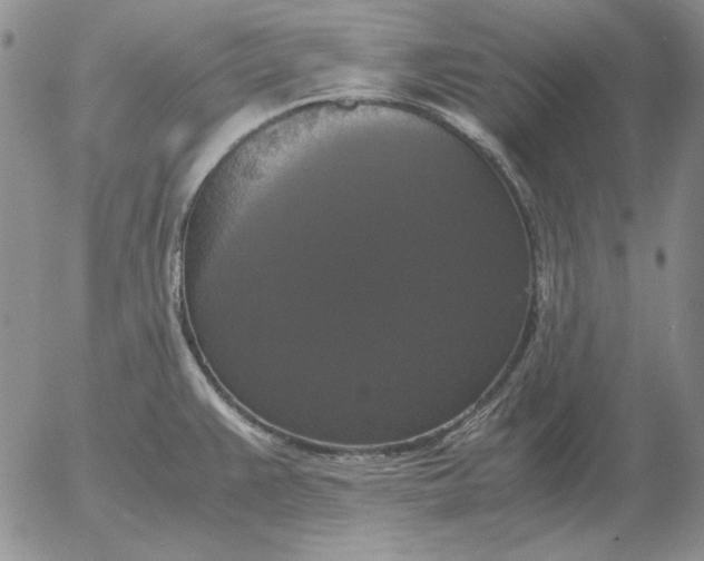 X0000054171383200508101748.png