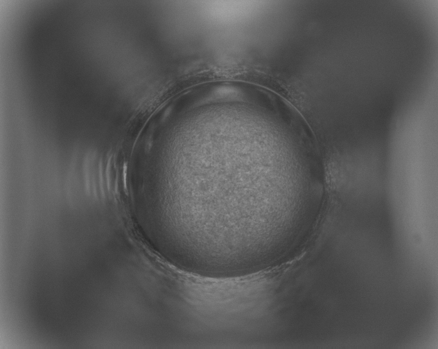 X0000052280046200507132040.png
