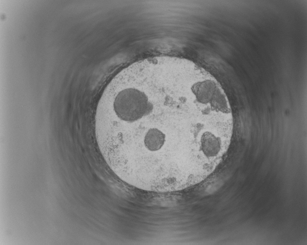 X0000054581105200508300053.png