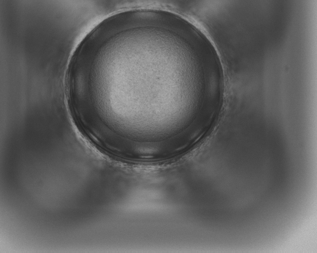 X0000038921389200409290954.png