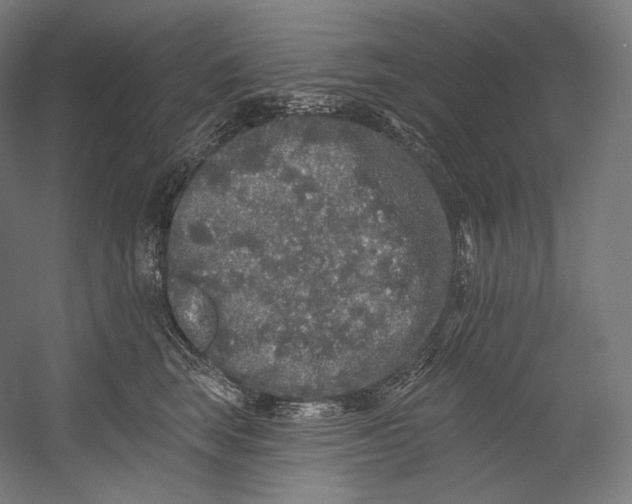 X0000055210663200508301323.png