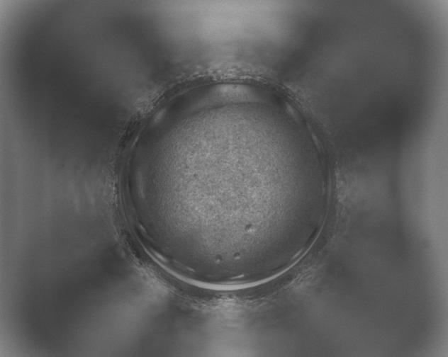 X0000052280453200507132033.png