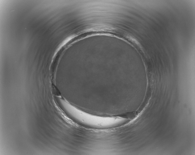 X0000054351114200508190121.png