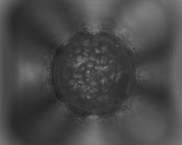 X0000047500714200503161513.png