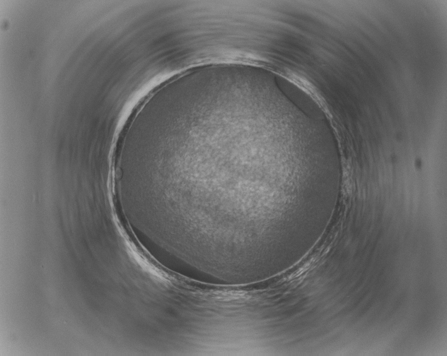 X0000054171136200508101753.png