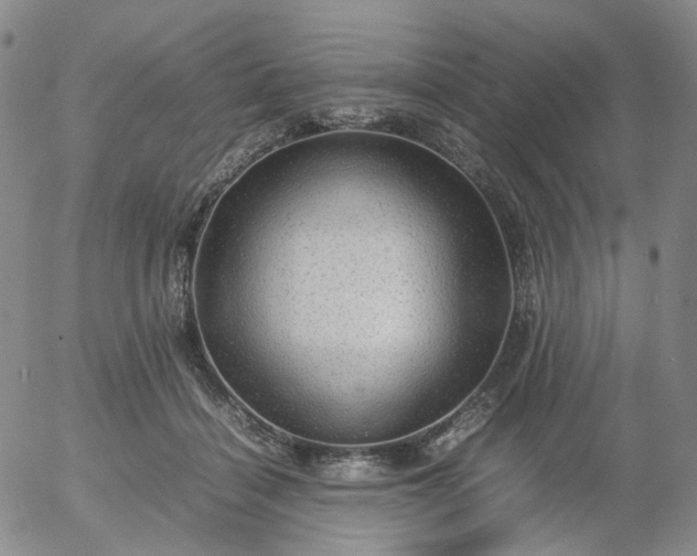 X0000054650460200508091646.png