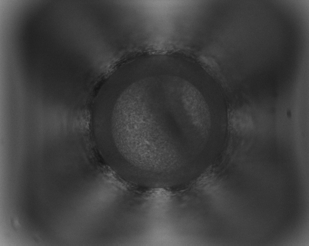 X0000043160621200411300946.png