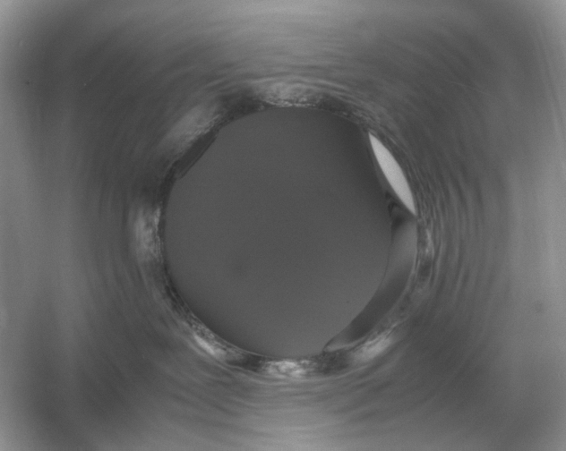 X0000054350239200508190136.png