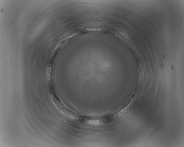 X0000054170171200508101809.png