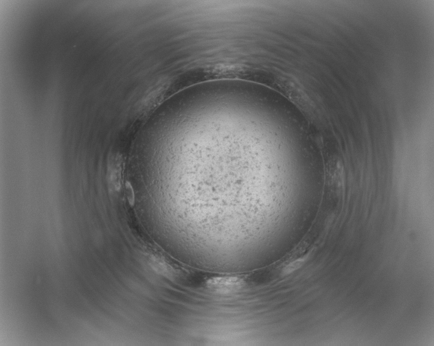 X0000054300133200508042320.png