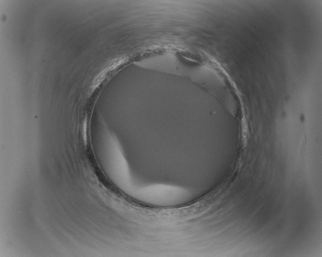 X0000054170019200508101811.png