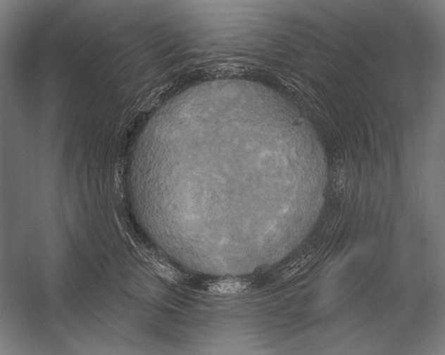 X0000055250759200509071615.png