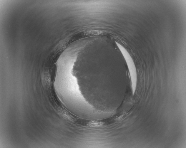 X0000054350617200508190130.png