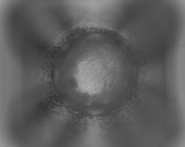 X0000052150774200507051950.png