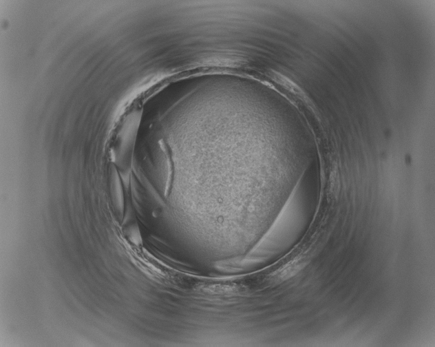 X0000054651027200508091636.png