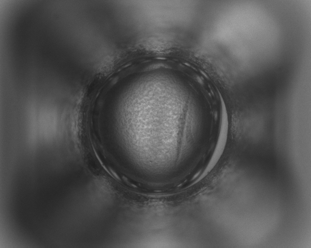 X0000047470404200503091604.png