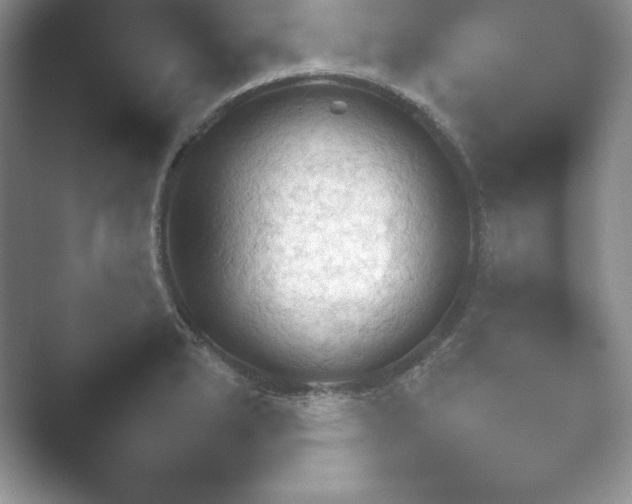 X0000052451278200507211304.png