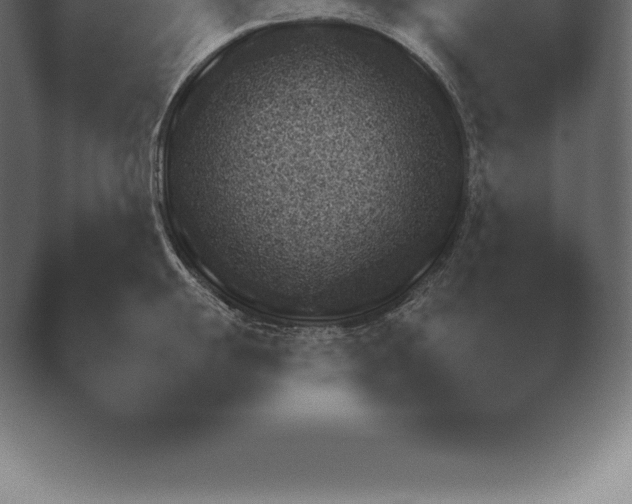 X0000038921055200409291000.png