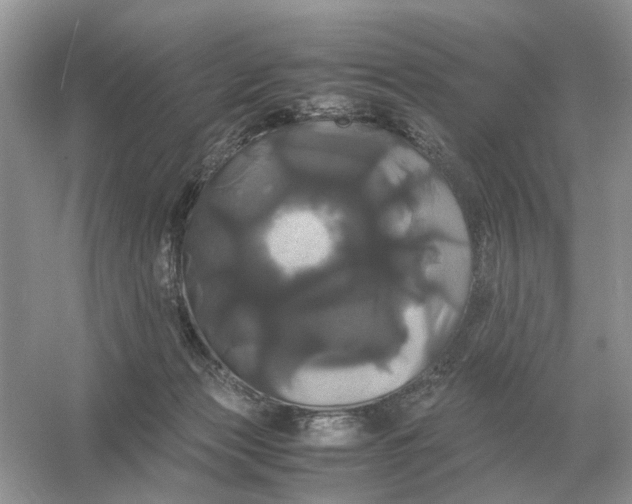 X0000054350173200508190137.png