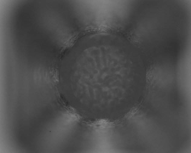 X0000052730431200507141550.png
