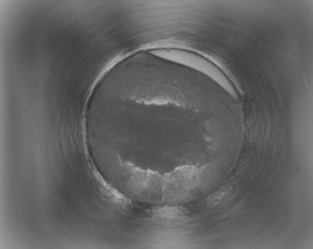 X0000055060998200508161641.png