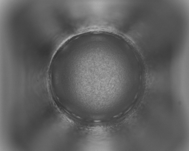 X0000052151182200507051943.png