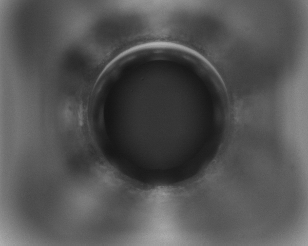 X0000054730068200508171903.png
