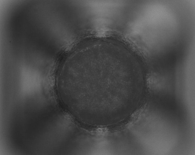 X0000047500554200503161516.png