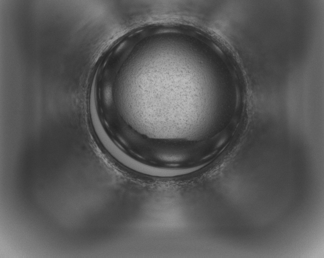 X0000038921041200409291000.png