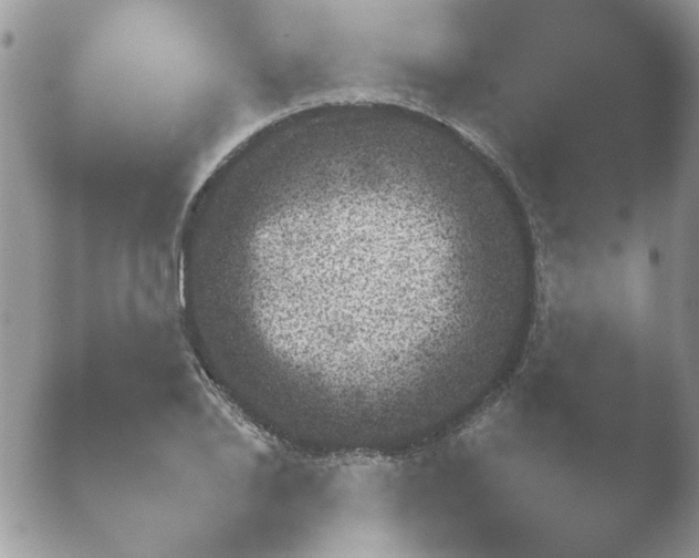 X0000052890886200507272227.png