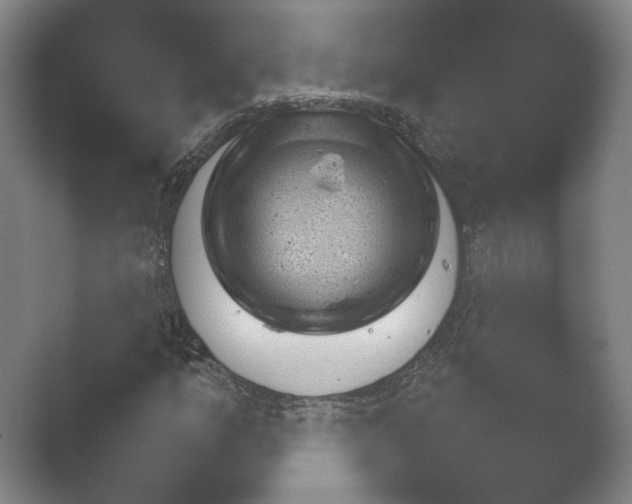 X0000052281157200507132021.png