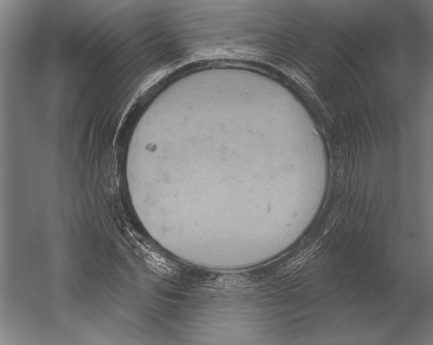 X0000055250974200509071611.png