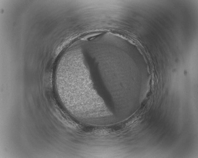 X0000054170299200508101806.png